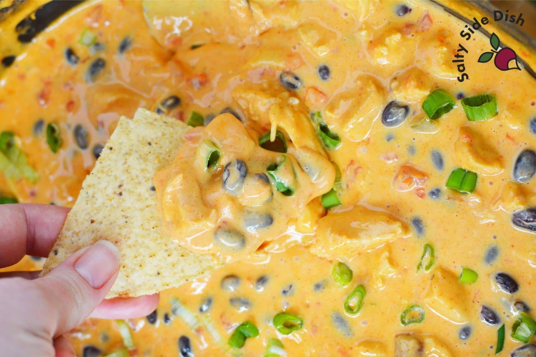 CROCK POT QUESO DIP RECIPE