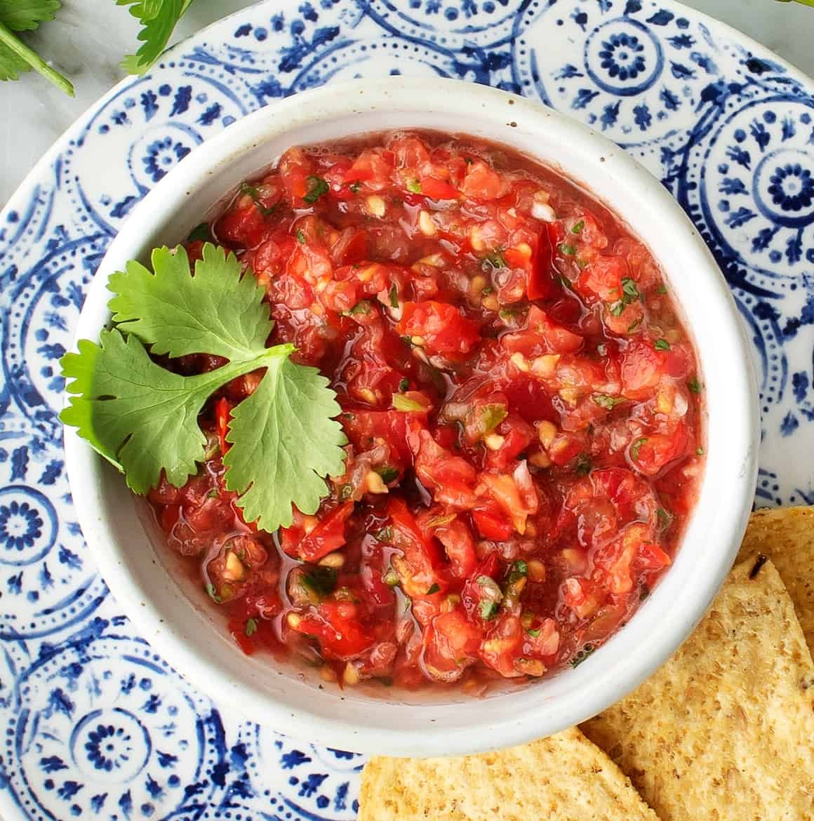 HOMEMADE SALSA RECIPE WITH FRESH TOMATOES