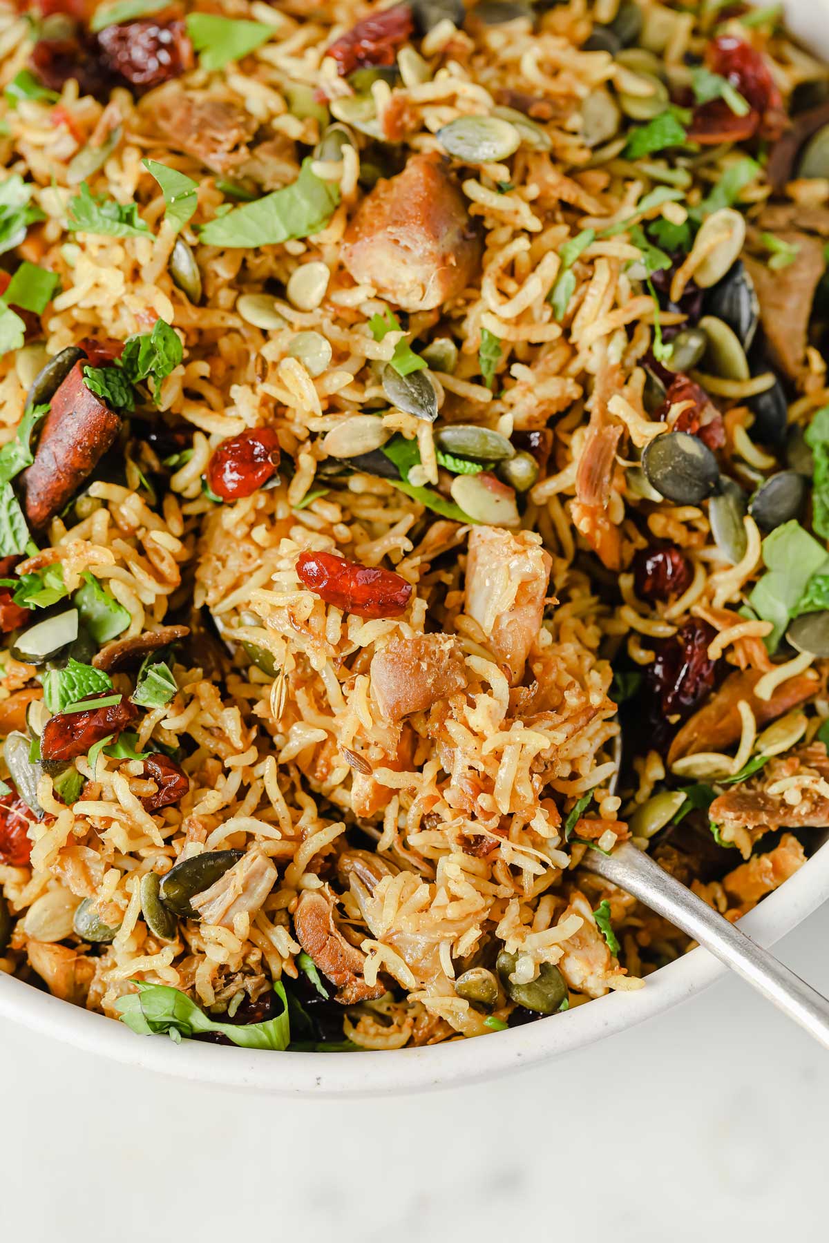 Turkey Biryani