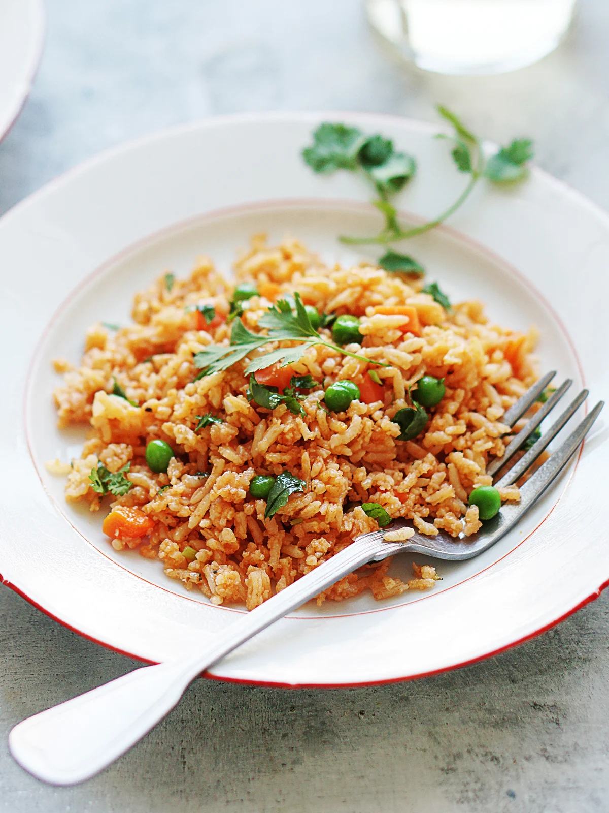 Mexican Red Rice
