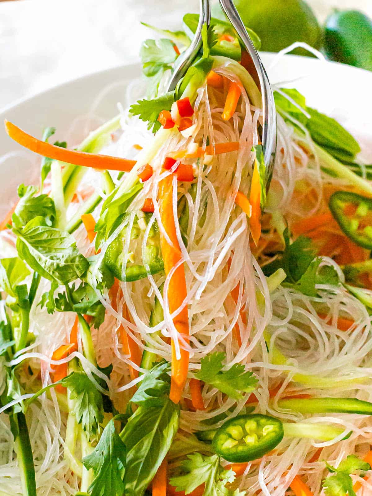 Vietnamese-Inspired Cold Rice Noodle Salad With Chicken